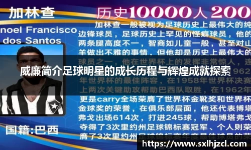 威廉简介足球明星的成长历程与辉煌成就探索
